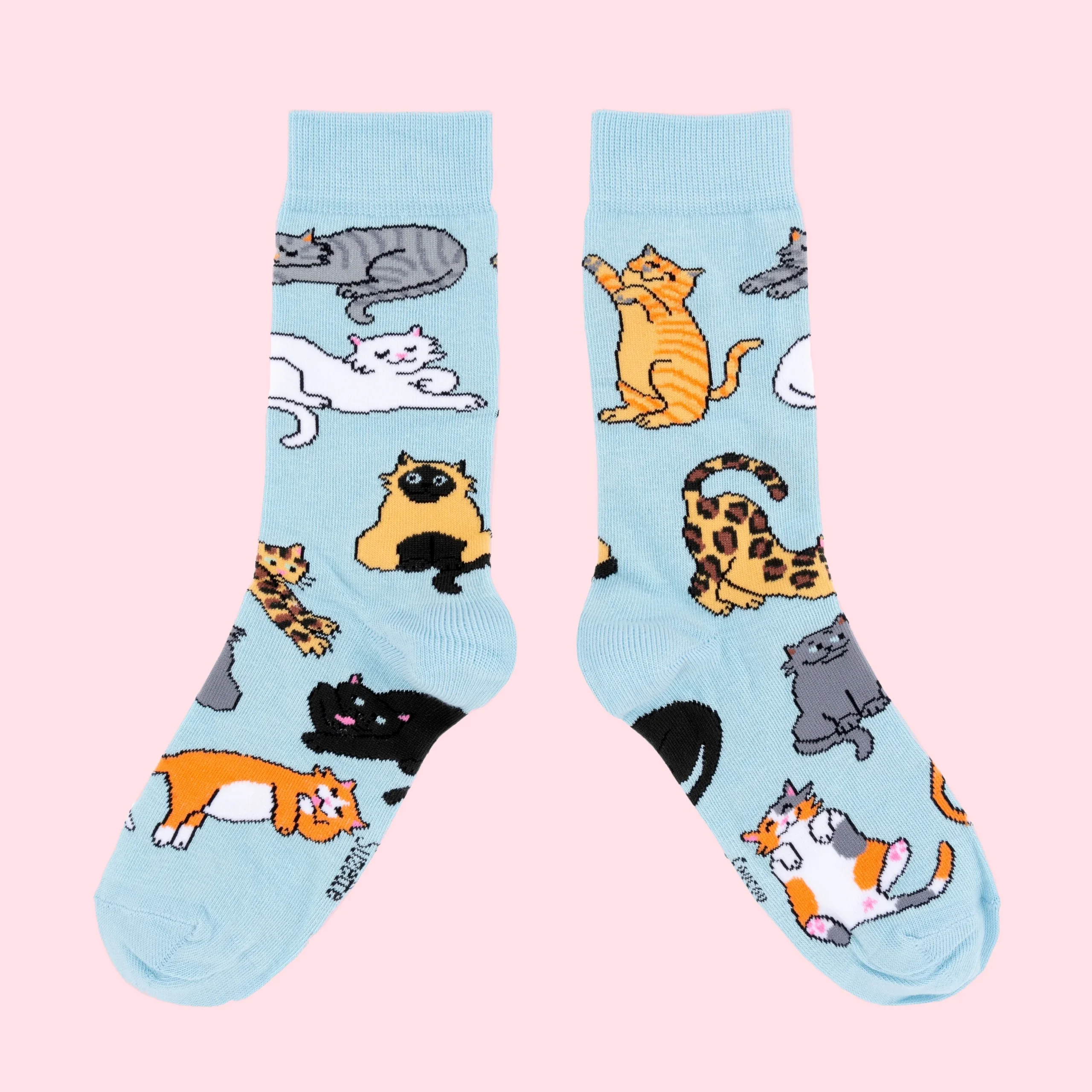 Cute cats patterned socks Coucou Suzette